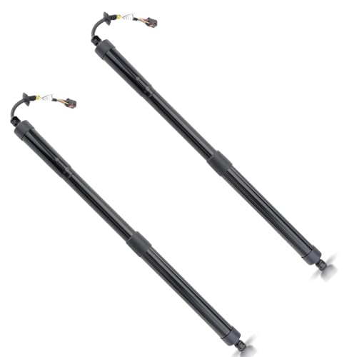 Vérins de hayon électriques pour Range Rover Evoque 2011-2019 LR051452