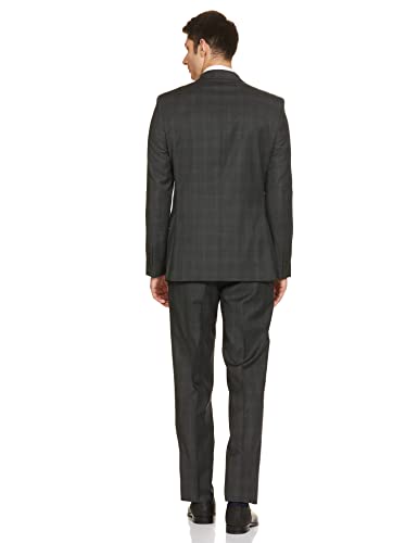 Image of Raymond Men Suit