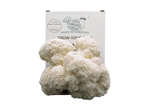 Merit Mushrooms - Large Lion's Mane Mushroom Growing Kit | Ready-to-Grow | Cut and Spray | Mushrooms in as Little as 2 Weeks | Grow Your Own Mushrooms