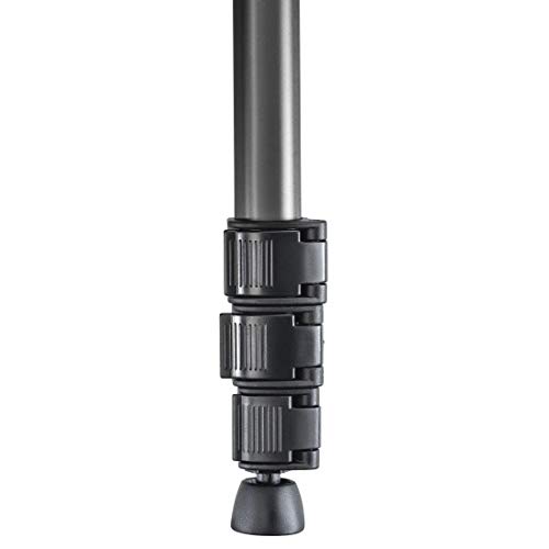 Hama Leichtes Einsteiger-Einbeinstativ mit 3-Wege-Kopf, Star 78 Mono 176 -3D, Champagner