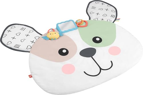 Image of Fisher-Price Baby Tummy Time Toy, Puppy Perfection Giant Play Mat with Sensory Development Activities for Newborns 0+ Months (Amazon Exclusive)