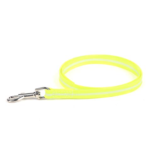 EXP[iC (Julius-K9) IDC~[h (nh) T 19mm×1m