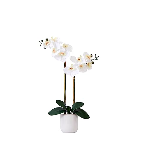 Nearly Natural 26 in Artificial Double Phalaenopsis Orchid with Vase