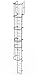 Tri-Arc WLFC1222 22-Rung Walk-Thru Fixed Steel Ladder with Cage