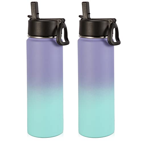 Volhoply Insulated Water Bottles with Straw Bulk 2 Pack