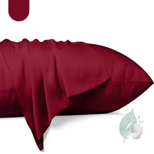 100% Mulberry Silk Pillowcase 2 Pack Standard Size Silk Pillow Cases for Hair and Skin Silky Smooth Bed Pillow Cover with Hidden Zipper Natural Silk Pillow Case Set of 2 (Red Standard 20X26)