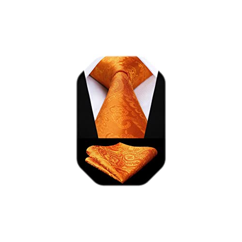 HISDERN Orange Paisley Ties for Men Solid Tie Handkerchief Floral Mens Necktie & Pocket Square Set Wedding Classic Mens Ties