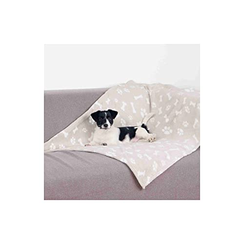 Trixie Kenny Decke für Hunde, Plüsch, 75 × 50 cm, beige - 37162