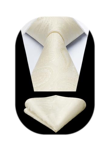 Image of HISDERN Ties for Men Paisley Tie and Pocket Square Woven Classic Floral Mens Ties Handkerchief Set Wedding Party Necktie