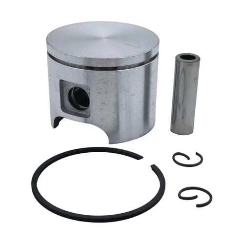 Segment de piston 46 mm et roulement pour cylindre 503608101 51 - 4
