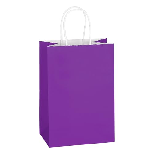 Mlyta 100 Pack 5.25x3.25x8.5 Inch Small Purple Kraft Paper Gift Bags with Handles Bulk for Goodie, Party Favor Brithday Grocery Shopping, Business Wedding Retail Craft Treat To Go, Merchandise Sacks