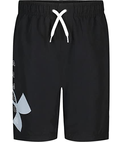Amazon.com: Under Armour Big Logo Volley, Black LOGO-SP22, 5