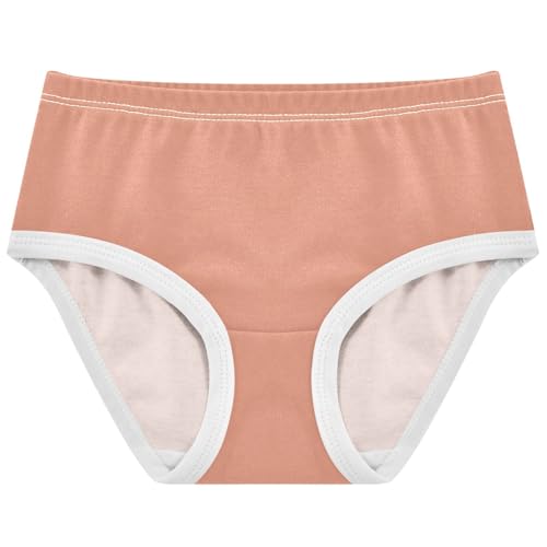 Joisal Dark Salmon Girl Panties Cute Girls Underwear Toddlers Cotton Funny Briefs Girls Undies 2t