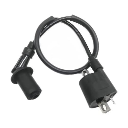 Bobina de encendido para moto, ideal para rutas exigentes en ATV 3