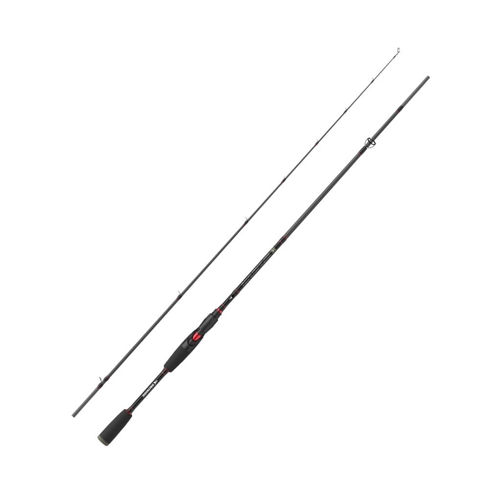 Canne à lancer baitcasting idéale pour vos sorties de pêche au bar