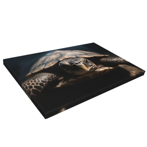 Impression sur toile tortue LPSRTWE 40x61 cm déco salon