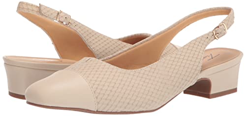 Image of Trotters