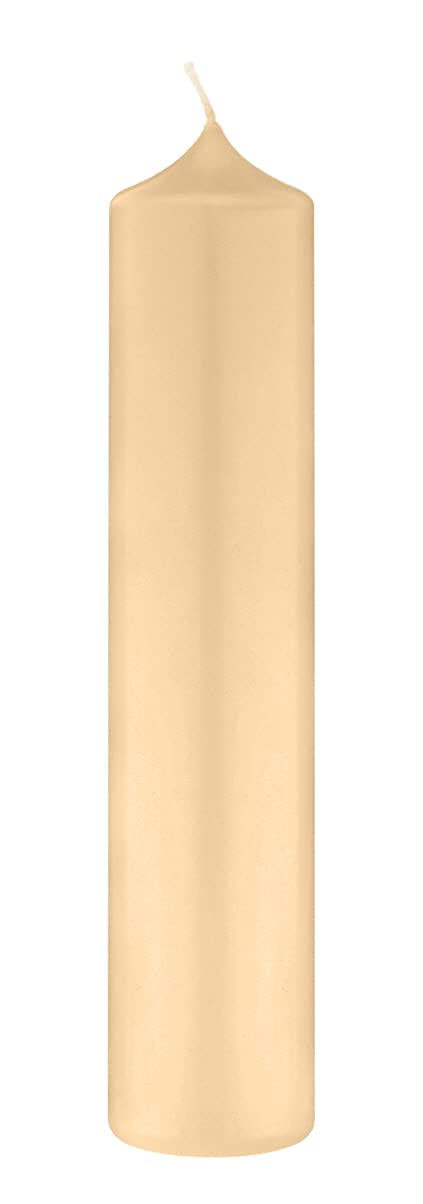 (Bienenwachs Kerzen Pinie 250 x Ø 80 mm, 4 Stück, Kerzen mit Dornbohrung in RAL Kerzengüte Qualität