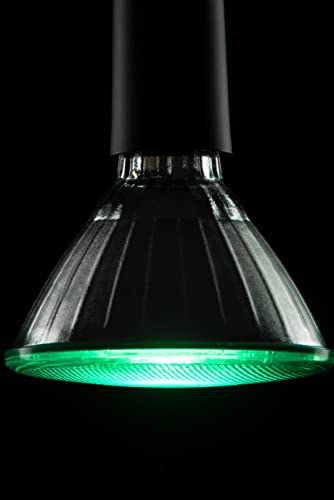 Ampoule LED PAR38 verte E27 18W dimmable réflecteur projecteur spot - 3