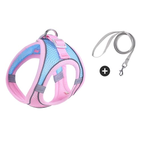 Lpn[lX ^[hZbg _炩߉\ bV[hƔLpxXgxg(Purple,M)