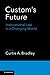 Custom's Future: International Law in a Changing World
