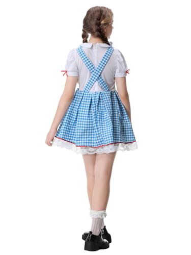 Disfraz Completo Niña Vestido Cuadros Azul Farm Girl miniatura 3