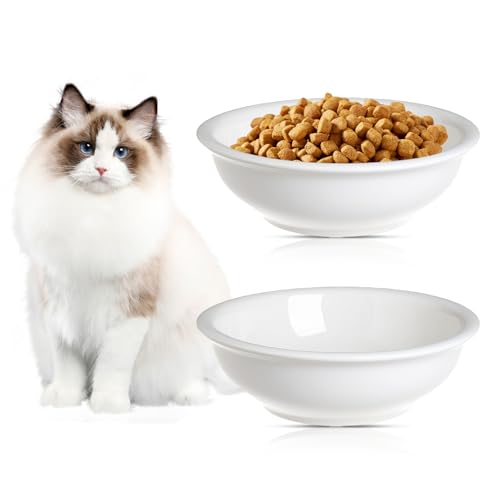 SUNOYA NomeDiMarca Ciotola in Ceramica Rialzata: 2 Pezzi Ciotola Elegante per Gatto, Ciotola Antiscivolo, per Casa (Bianca/360ml)