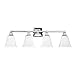Sea Gull Lighting 4450404-05 Denhelm Four Light Wall / Bath Vanity Style Lights, Chrome Finish