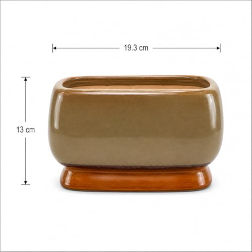 Image of Xtore Elegant Dual-Tone Glazed Ceramic Bonsai Planter Pot| Wide Bowl Design with Drainage Hole for Succulents, Bonsai & Small Plants (Deep Brown Pack of 1, Planter Only)