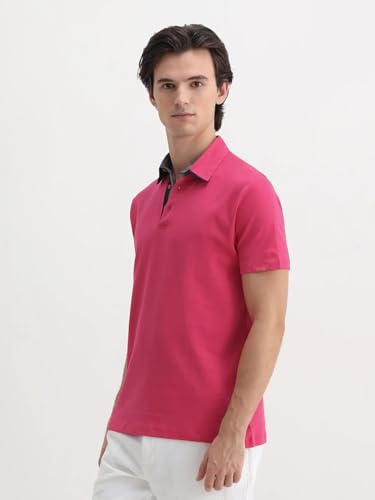 Image of Rare Rabbit Regular fit Plain Polo
