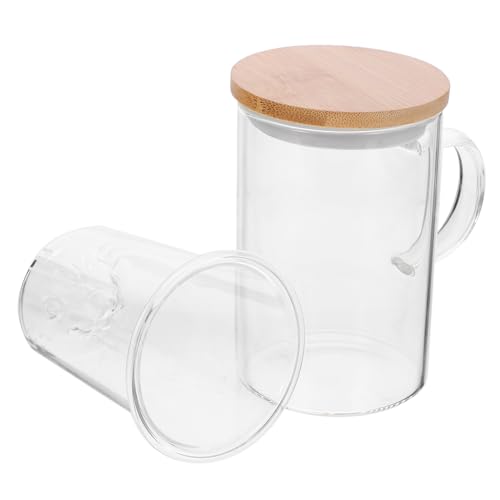BRIGHTFUFU Borosilicate Glass Tea Cup with Infuser Double Design for Home Office Restaurant Use