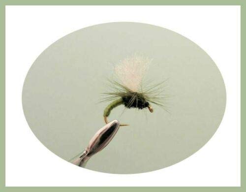 18 Mosche Da Pesca Artificiali Per Trota E Temolo &ndash; Klinkhammers, Emerger, HI-VIZ, Nero/oliva, Confezione Mista, UK