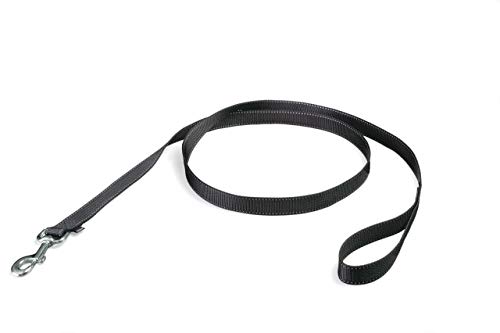 easy walk medium large