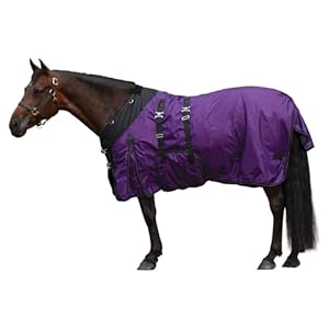 Extreme Horse Turnout Sheet – Playful | Size 76 – Purple | 1200 Denier | Contour Collar | Bellyband Closure | Waterproof, Windproof & Breathable | Easy to Use Front Snaps