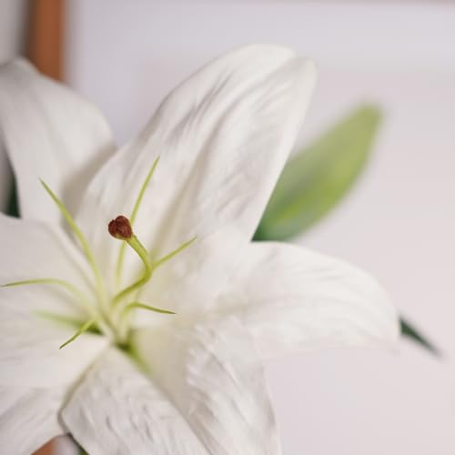 Image of Pure Home + Living White Artificial Tigerlily -(Made of Plastic and fabric) Flowers Sticks for Gifting, Home, Bedroom, Balcony, Living Room,Table Decoration, (Height-65 CM) Pack of 1