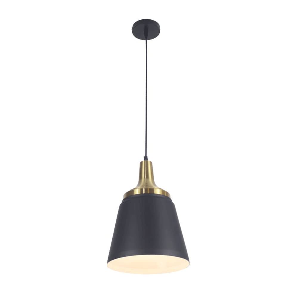 Lustre simple moderne noir en fer pour en finir avec les pièces sombres