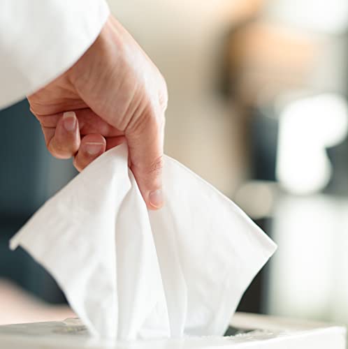 amazon basics facial tissue 2-ply 160 tissues per box 4 boxes 640 total previously solimo