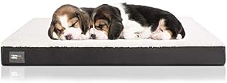 BedStory Memory Foam Dog Bed, Orthopedic Dog Beds (25x35 inches) for Medium Large