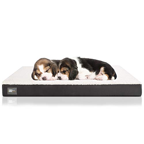 BedStory Memory Foam Dog Bed, Orthopedic Dog Beds (25x35 inches) for Medium Large