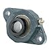 Dodge F2BSXR111 Flange Unit, 2 Bolt Holes, Normal-Duty, Relubricatable, Non-Expansion, Cast Iron, Eccentric Locking Collar, Inch, 1-11/16" Bore Diameter