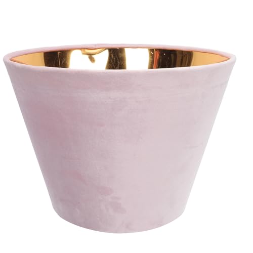 Alipis zvVF[h VvfUC S[h ドCgp ̖ڂɗD ȒPt CeAƖfR[