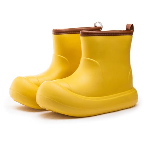 [D.IIZOO] Cu[c fB[X L h h V[Y V[gu[c K[fjO ނ Ԍ ʋ ʊw Jp (CG[, {̌C̃TCY@, l, l, 24.5 cm)