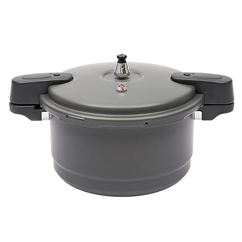 LIWBYYG 9L Pressure Cooker with Steam Rack