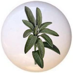 Miniatura 10 de Herbs Spices Kitchen Cook Cooking Bake Baking Decorative Ceramic Dresser Drawer Pulls Cabinet Cupboard Knobs (Oregano Leaves)
