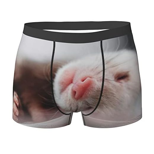Härliga iller husdjur herrshorts boxershorts bekväma underkläder för män svart, flerfärgad