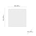 Balvi Salero Cocina Basics Transparente con Tapa Acrílico 11x11x11cm