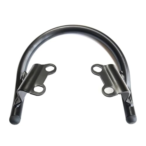Portaequipajes con asiento de pasajero y reposabrazos para rutas en Speed Twin 1200 5