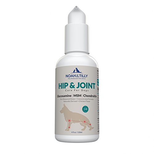 NOAH & TILLY Glucosamine Chondroitin for Dogs Tasty Chicken Flavor - All Natural Joint Pain Relief for Hip and Joint Health - Our Glucosamine for Dogs Supplements for Joints are USA Made & Guaranteed