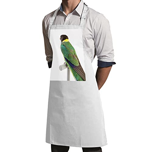 Tablier cuisine oiseau exotique perchoir western ring neck