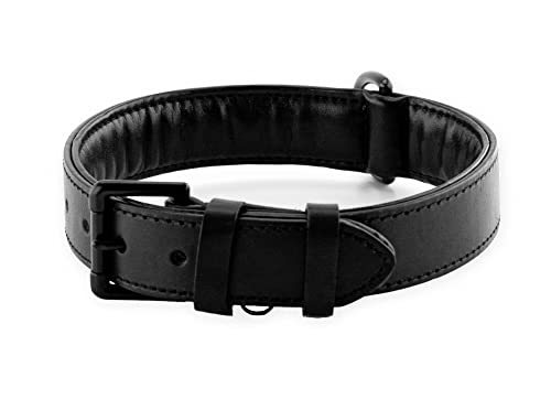 Brute Strength Hundehalsband aus Leder - Schwarz mit schwarzen Nähten - XXL - 66-73 cm
